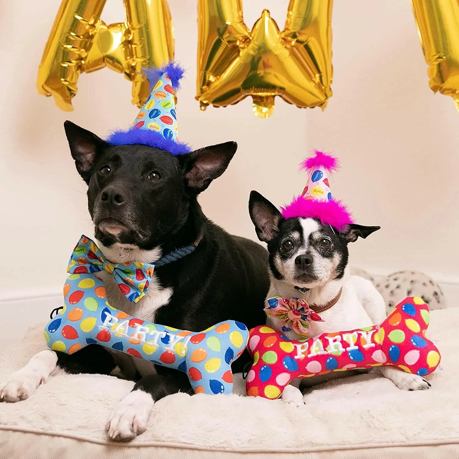 Dog Party Hat-Party Time Blue