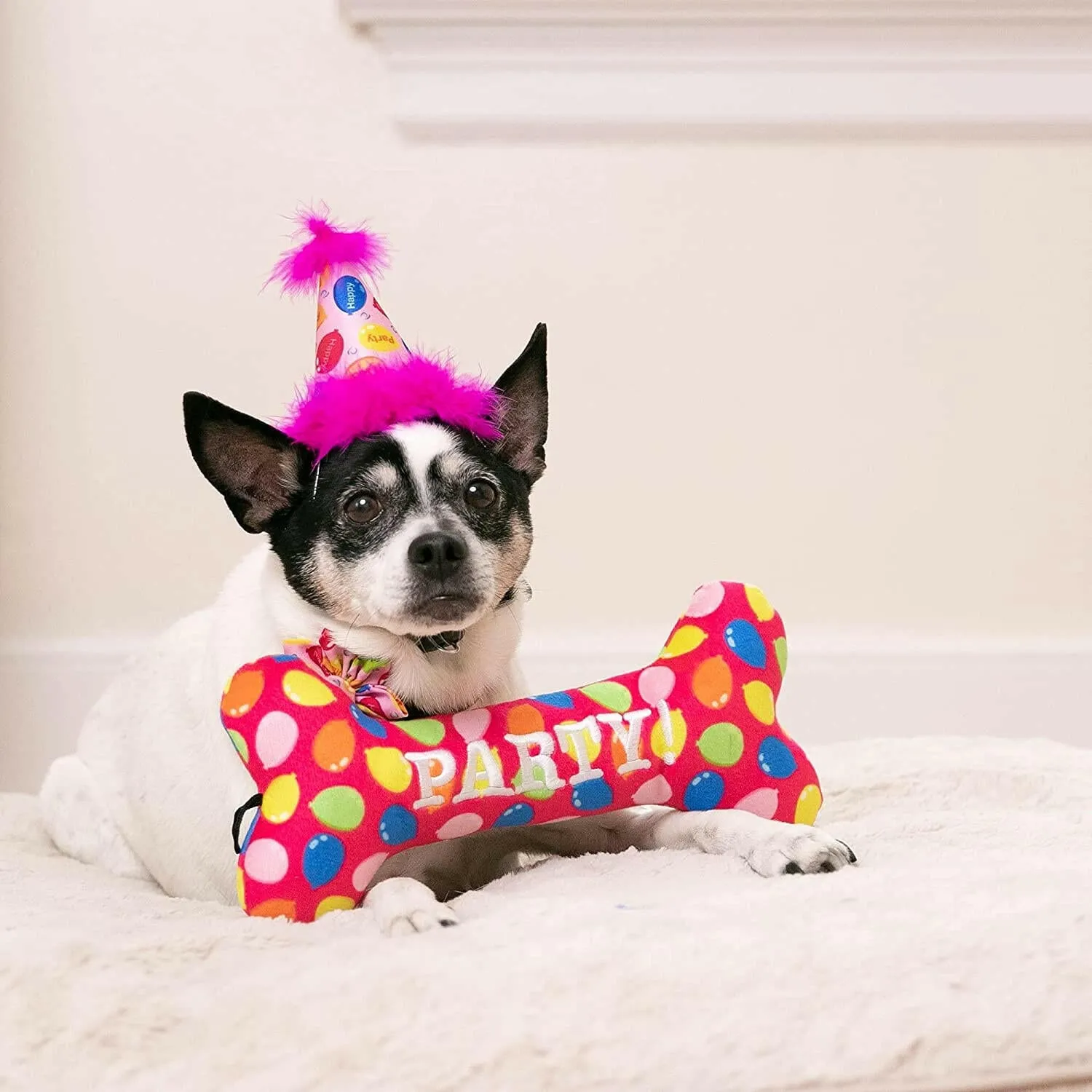 Dog Party Hat-Party Time Pink