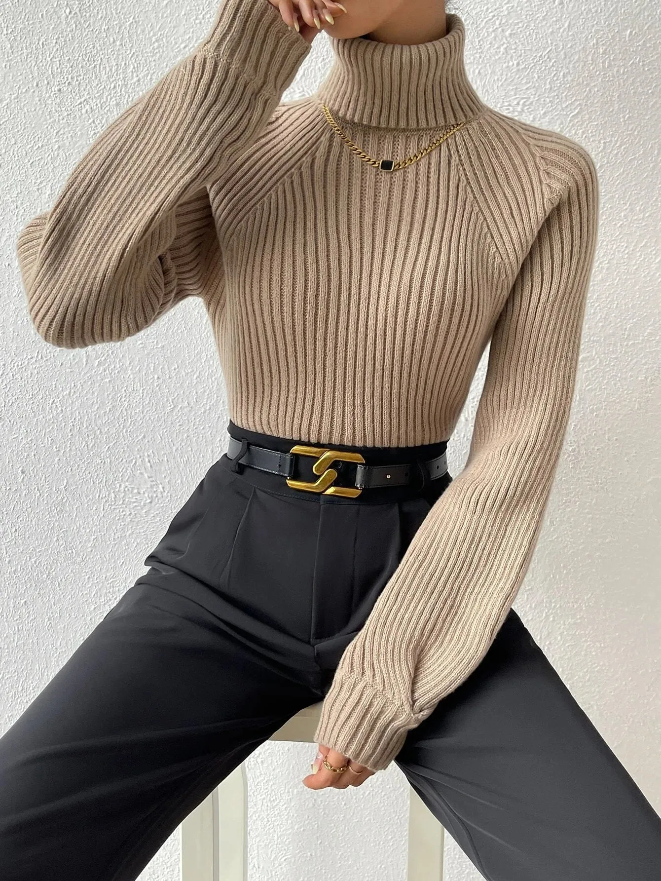 Shein Turtleneck Raglan Sleeve Ribbed Knit Sweater