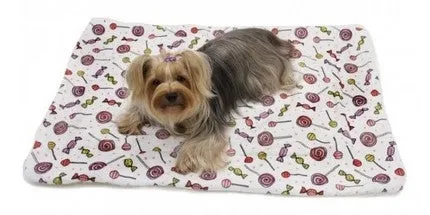 Ultra Soft Minky-Plush Sweet Candies Blanket